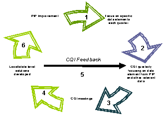 illustration how the PIP was used to focus the CQI process on salient PIP/CFSR items and outcomes