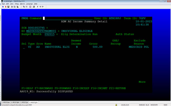FMDE Screen Image
